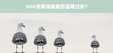 600克鹅绒被能否温暖过冬？