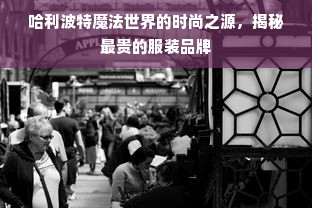 哈利波特魔法世界的时尚之源，揭秘最贵的服装品牌