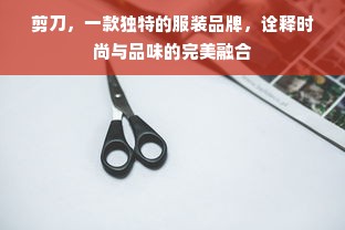 剪刀，一款独特的服装品牌，诠释时尚与品味的完美融合