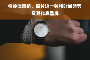 性冷淡风格，探讨这一独特时尚趋势及其代表品牌