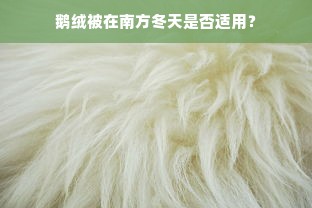 鹅绒被在南方冬天是否适用？