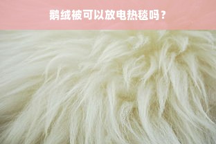 鹅绒被可以放电热毯吗？