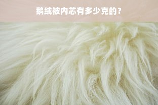 鹅绒被内芯有多少克的？