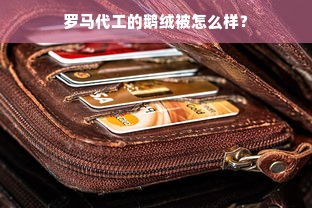 罗马代工的鹅绒被怎么样？