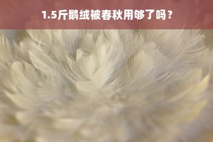 1.5斤鹅绒被春秋用够了吗？