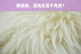 鹅绒被，湿充还是干充绒？