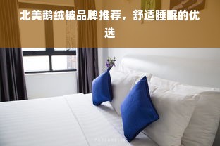 北美鹅绒被品牌推荐，舒适睡眠的优选