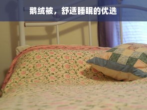 鹅绒被，舒适睡眠的优选