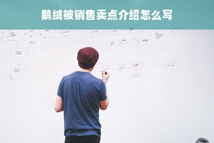 鹅绒被销售卖点介绍怎么写