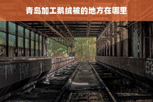 青岛加工鹅绒被的地方在哪里