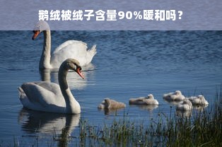 鹅绒被绒子含量90%暖和吗？