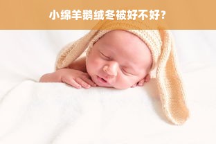 小绵羊鹅绒冬被好不好？