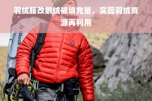 羽绒服改鹅绒被填充量，实现羽绒资源再利用