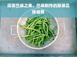 探索苎麻之美，苎麻制作的服装品牌推荐