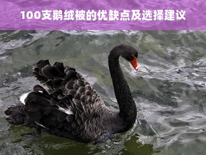 100支鹅绒被的优缺点及选择建议