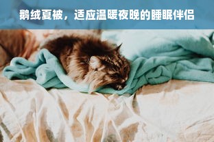 鹅绒夏被，适应温暖夜晚的睡眠伴侣