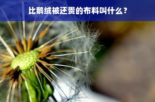 京东山姆鹅绒被购买攻略，如何享受优惠，实现便宜实惠购买