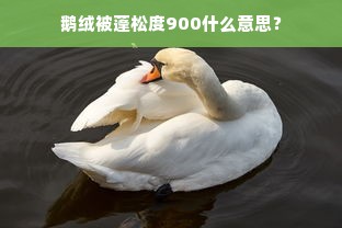 鹅绒被蓬松度900什么意思？