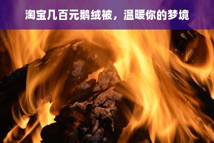 淘宝几百元鹅绒被，温暖你的梦境