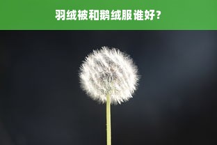 羽绒被和鹅绒服谁好？