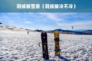 羽绒被雪景（羽绒被冷不冷）