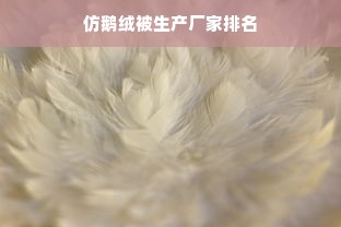 仿鹅绒被生产厂家排名