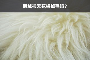 鹅绒被天花板掉毛吗？