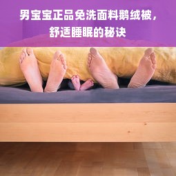 男宝宝正品免洗面料鹅绒被，舒适睡眠的秘诀