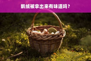 鹅绒被拿出来有味道吗？