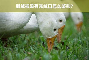 鹅绒被没有充绒口怎么鉴别？