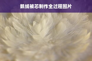 鹅绒被芯制作全过程图片