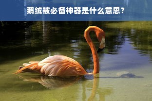 鹅绒被必备神器是什么意思？