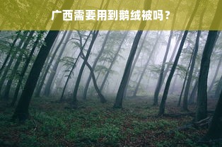 广西需要用到鹅绒被吗？