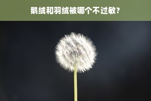 鹅绒和羽绒被哪个不过敏？