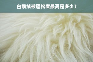 白鹅绒被蓬松度最高是多少？