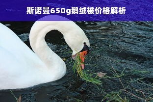 斯诺曼650g鹅绒被价格解析