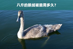 八斤的鹅绒被能用多久？