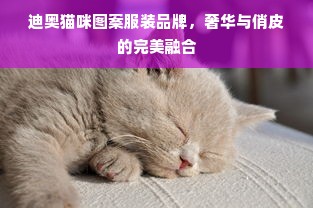 迪奥猫咪图案服装品牌，奢华与俏皮的完美融合