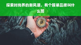 探索时尚界的新风潮，有个服装品牌叫什么图