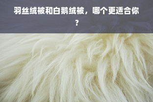 羽丝绒被和白鹅绒被，哪个更适合你？