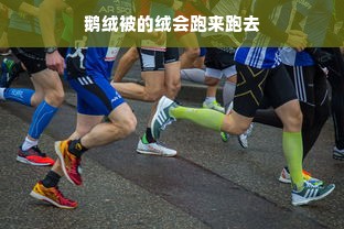 鹅绒被的绒会跑来跑去