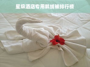 星级酒店专用鹅绒被排行榜