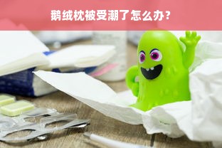 鹅绒枕被受潮了怎么办？