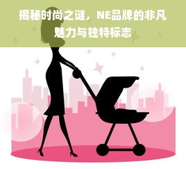 揭秘时尚之谜，NE品牌的非凡魅力与独特标志