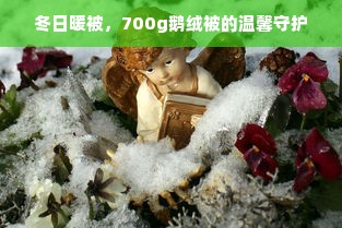 冬日暖被，700g鹅绒被的温馨守护