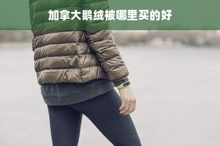 加拿大鹅绒被哪里买的好