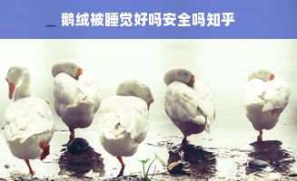 鹅绒被睡觉好吗安全吗知乎