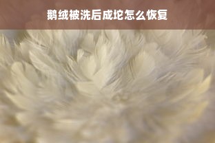 鹅绒被洗后成坨怎么恢复