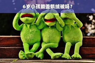 6岁小孩能盖鹅绒被吗？