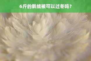 6斤的鹅绒被可以过冬吗？